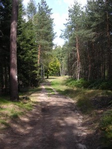 cestanahled